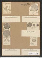 Coscinodiscus tuberculatus var. monicae Grev. (de-Toni-Nr.: Genus 202, Species 4918) Zeichnungen Sammlung Grunow Nr. 8686 (NHMW-BOT-W0378105)